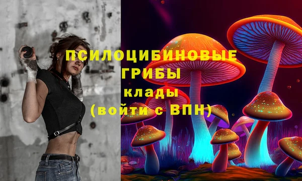 герыч Дмитровск