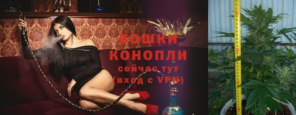 mdma Дмитриев