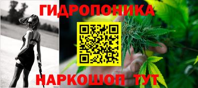 кокс Берёзовский