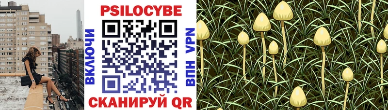 Галлюциногенные грибы прущие грибы  купить наркотик  Елизово 