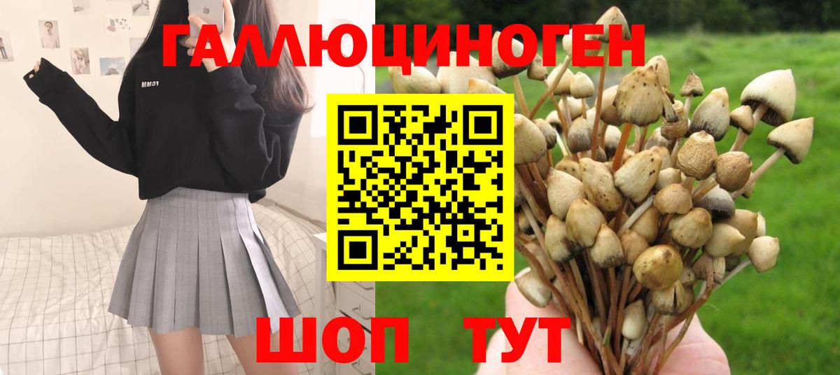 Галлюциногенные грибы Cubensis  Вход с VPN  Елизово 